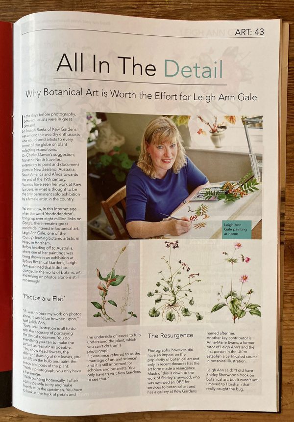 All About Horsham magazine article Leigh Ann Gale Botanical Art & Tuition