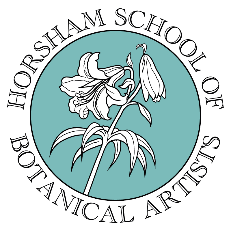 HSBA Leigh Ann Gale Botanical Art & Tuition