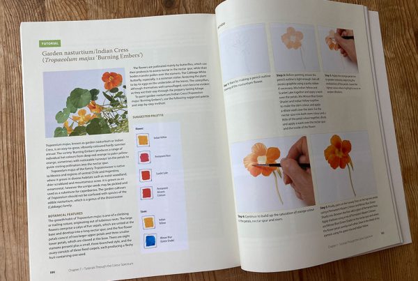 Leigh Ann Gale colour book