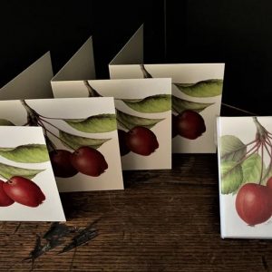 Pack of 4 Crab apple cards