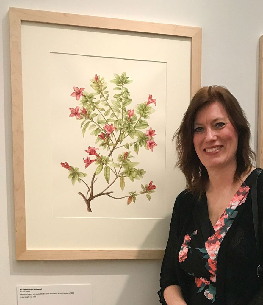Exhibitions Leigh Ann Gale Botanical Art & Tuition