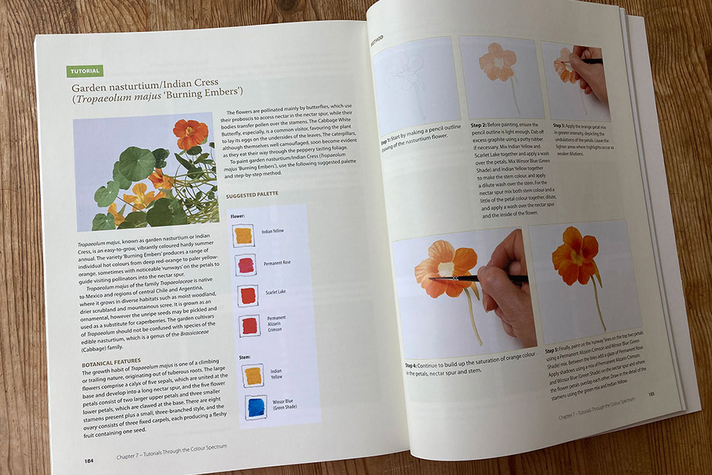 Colour for Botanical Artists illustrators book - Nasturtium painting